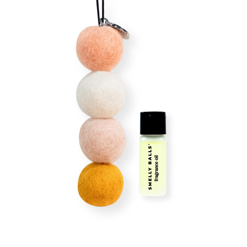 Smelly Balls Car Fragrance Sun Seeker Set - Coconut & Lime image number 1